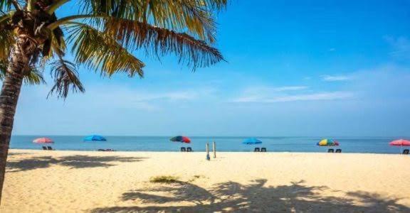 Marari Beach Cleetus Homestay Mararikulam Dış mekan fotoğraf